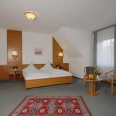 Stadthotel Muenze מלון 3*